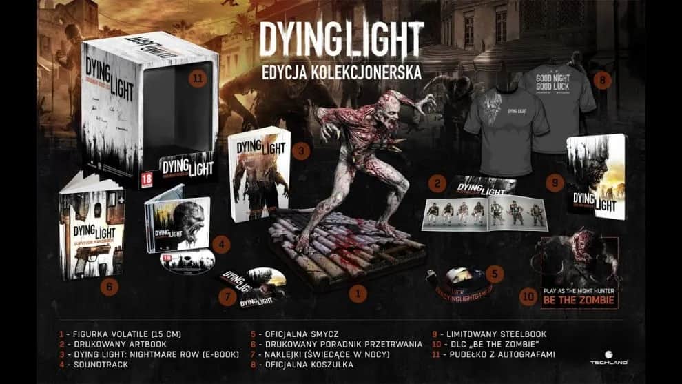 Najlepsze miejsca gdzie kupić edycje kolekcjonerskie gier: poradnik gracza